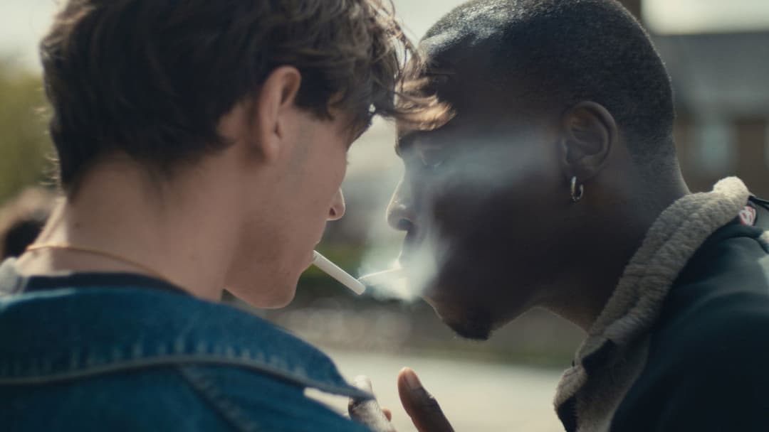 What You Will backdrop 1