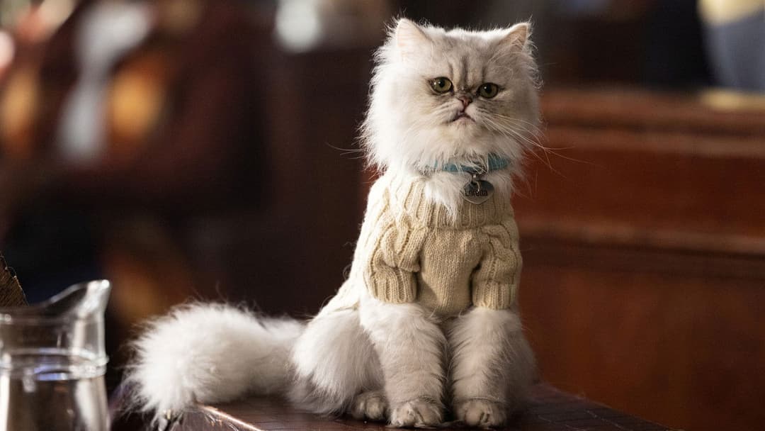 Lyle, Lyle, Crocodile backdrop 17