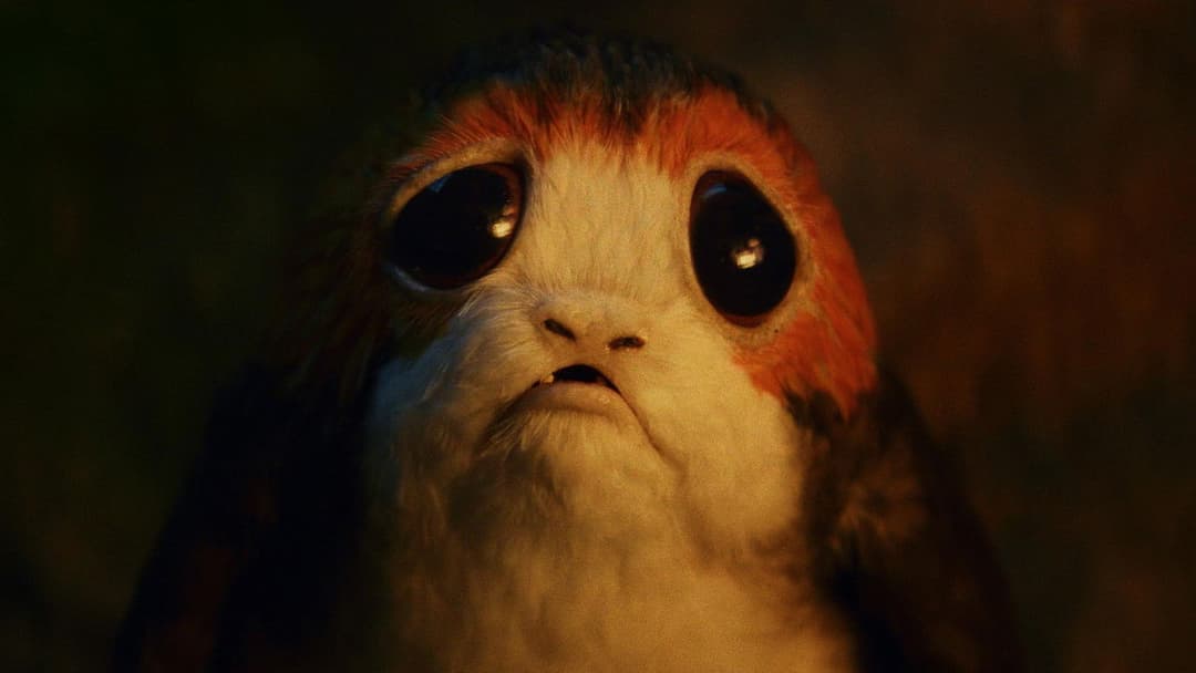 Star Wars: The Last Jedi backdrop 18