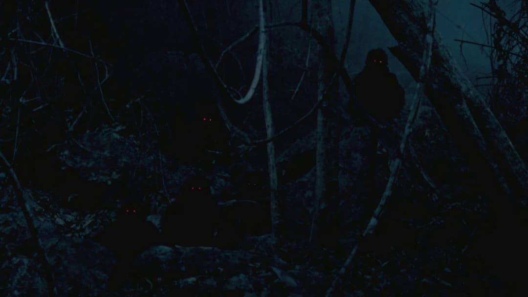 Uncle Boonmee Who Can Recall His Past Lives backdrop 8