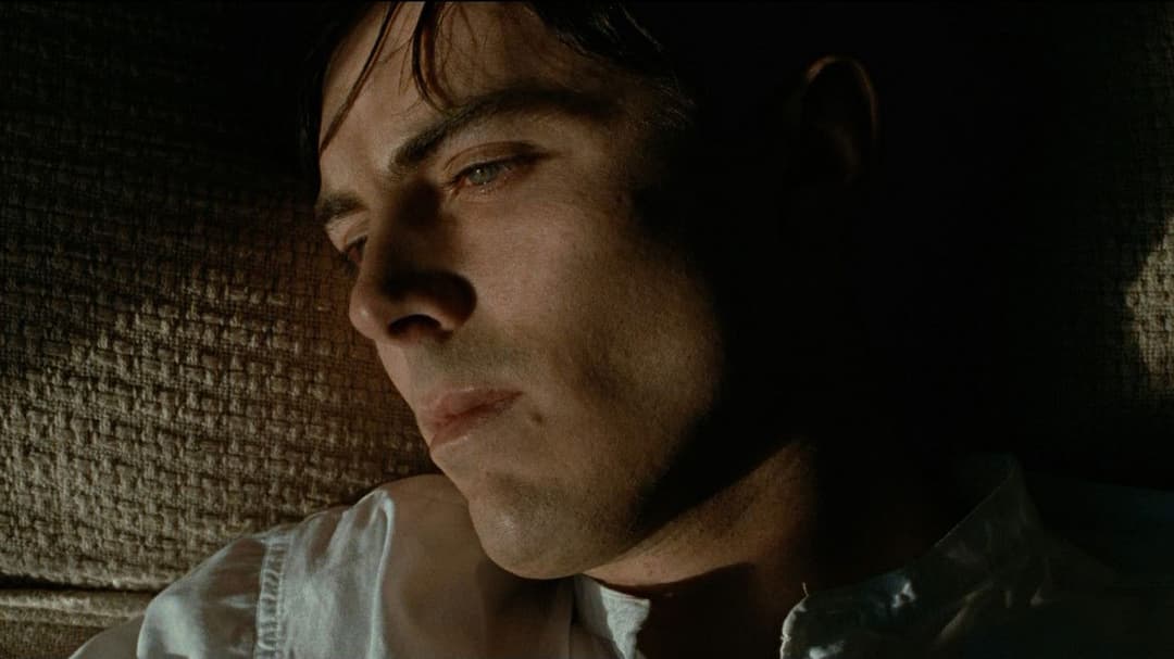 The Assassination of Jesse James by the Coward Robert Ford backdrop 14