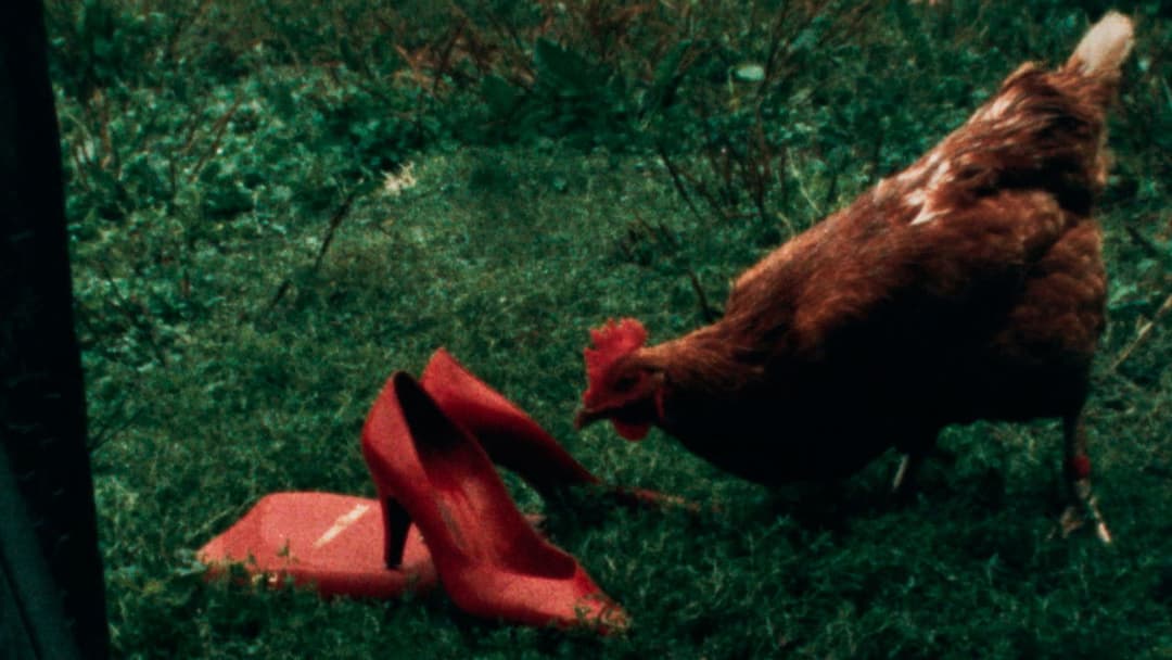 Dressed to's Song of Songs backdrop 14