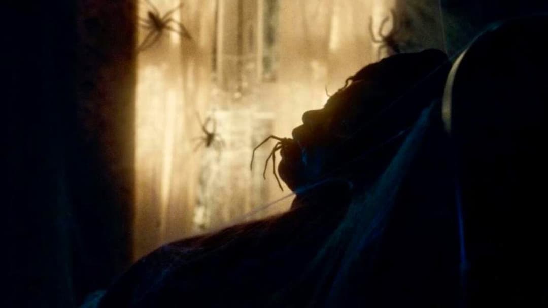 Павуче лігво backdrop 18