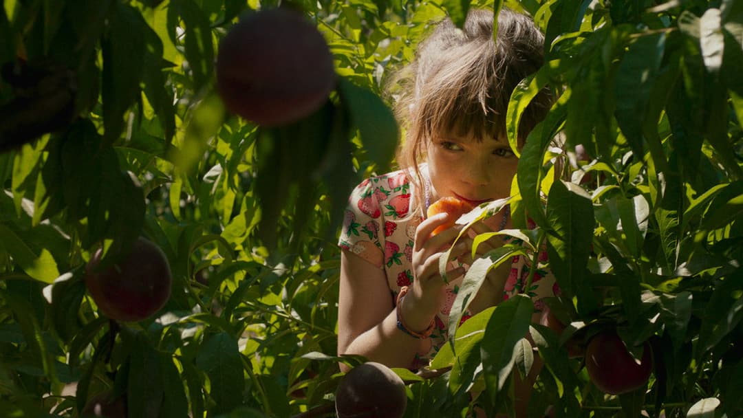 Алькаррас backdrop 10