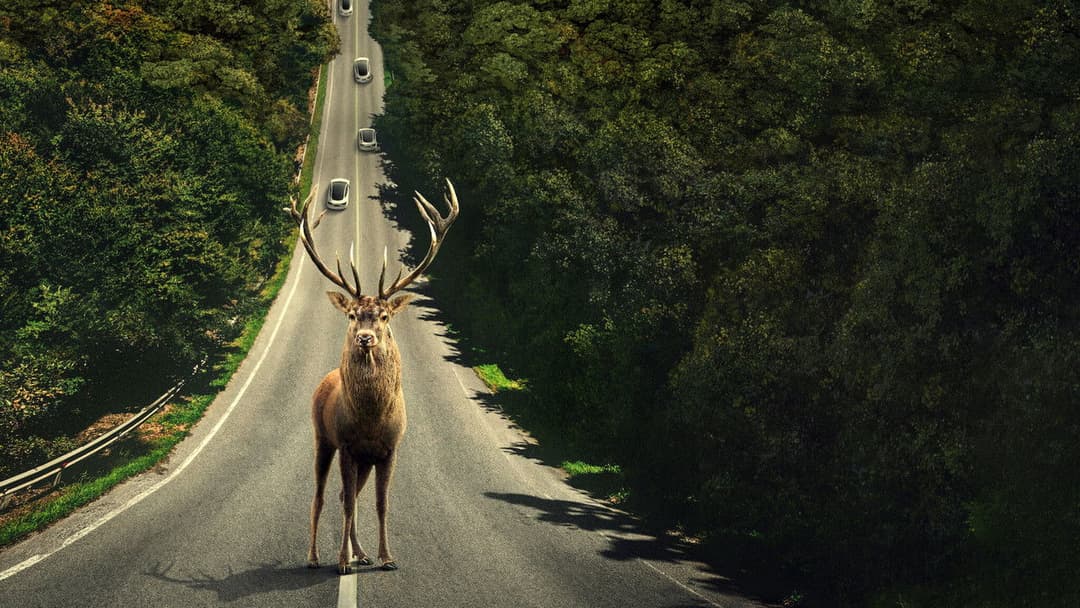 Leave the World Behind backdrop 12