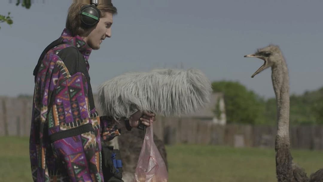 Der Tierstimmensammler oder Das Lied der Scheuen Stockente backdrop 16