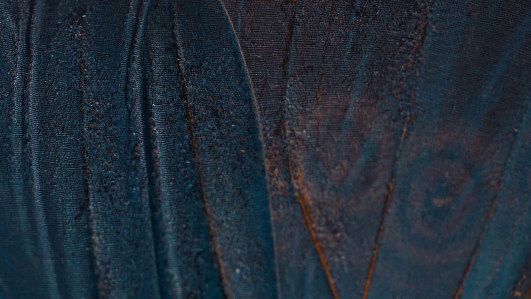 The Abnormal Beauty Company backdrop 1