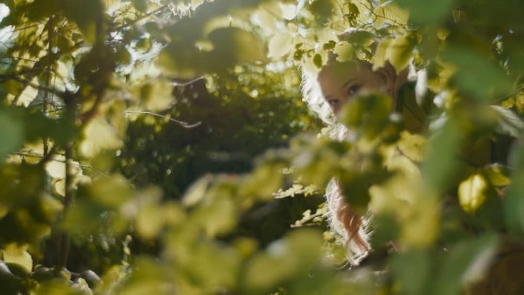 Чарівне дерево пригод backdrop 16