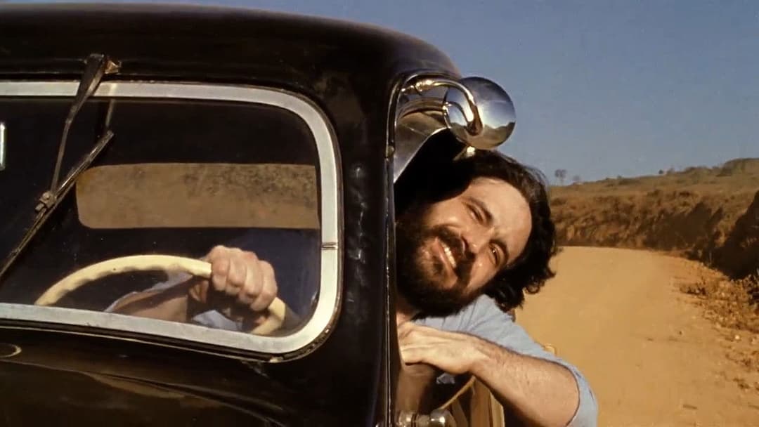 Meu Pé de Laranja Lima backdrop 4