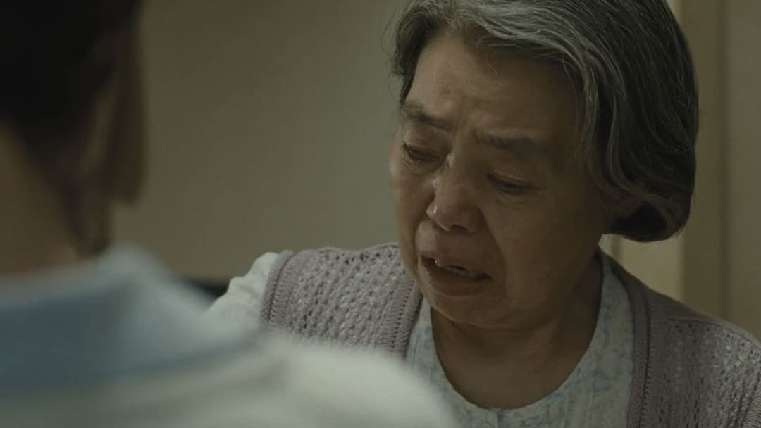 After the Storm backdrop 9