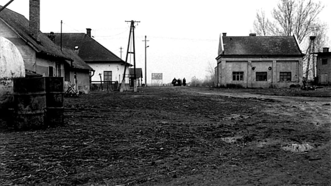 Satantango backdrop 13