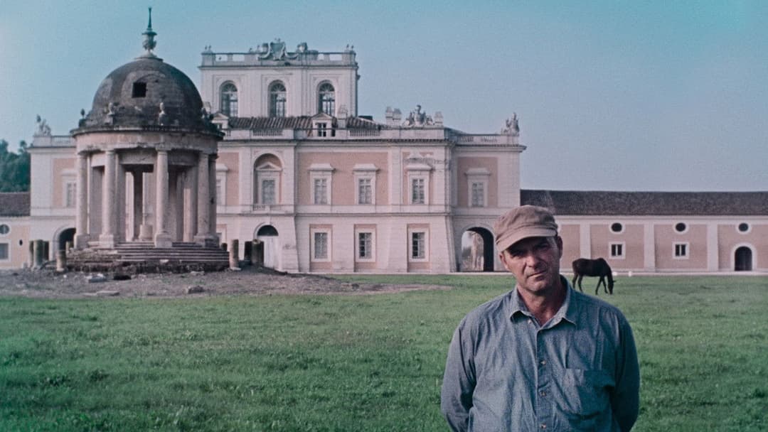 Lost and Beautiful backdrop 5