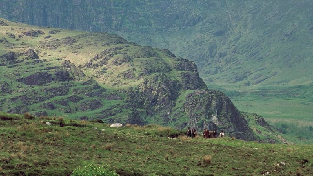 Вітер, що гойдає верес backdrop 20