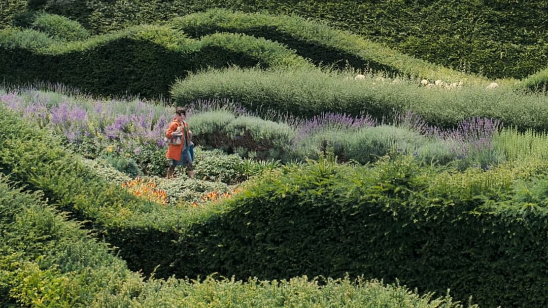 Happy-Go-Lucky backdrop 3