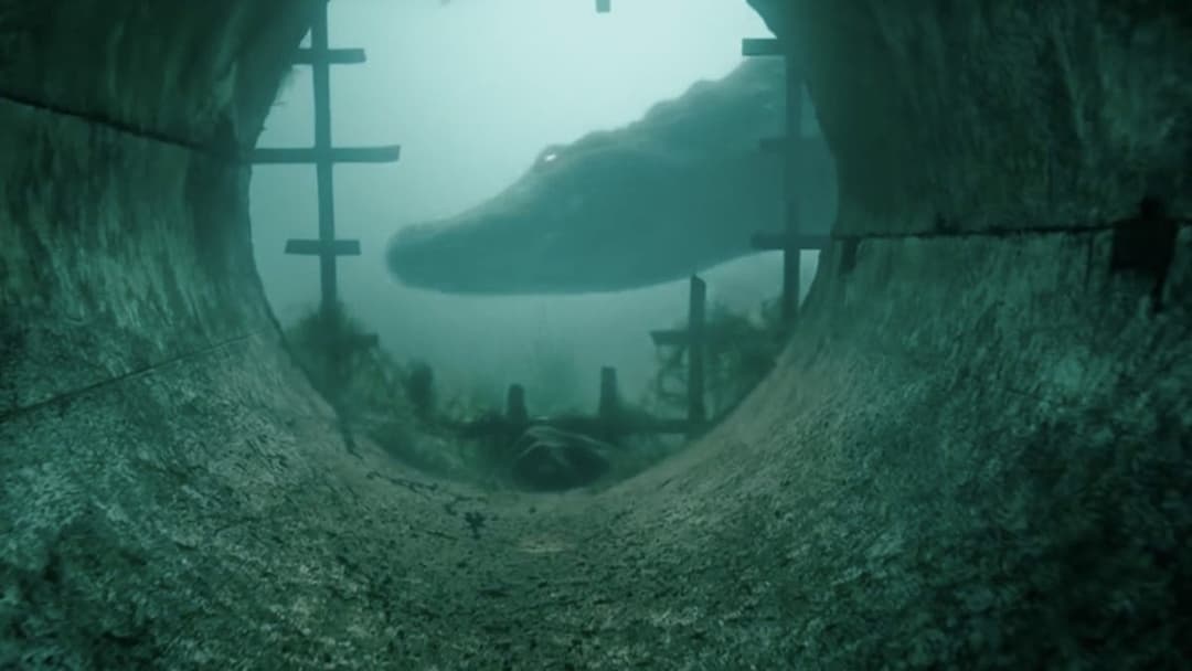 Хижаки backdrop 10