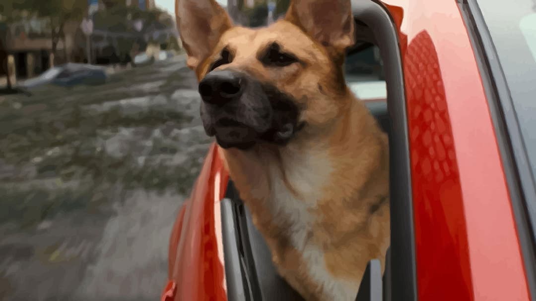 I Am Legend backdrop 13