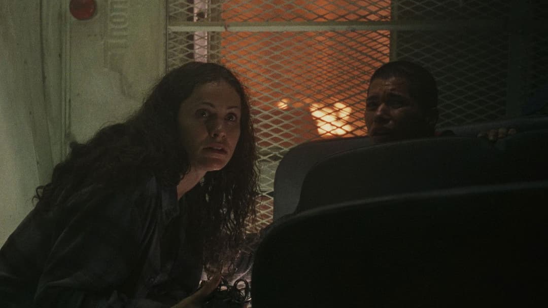 Daylight backdrop 12