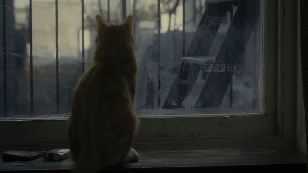 Inside Llewyn Davis backdrop 12