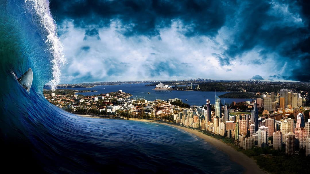 Bait - Haie im Supermarkt backdrop 14