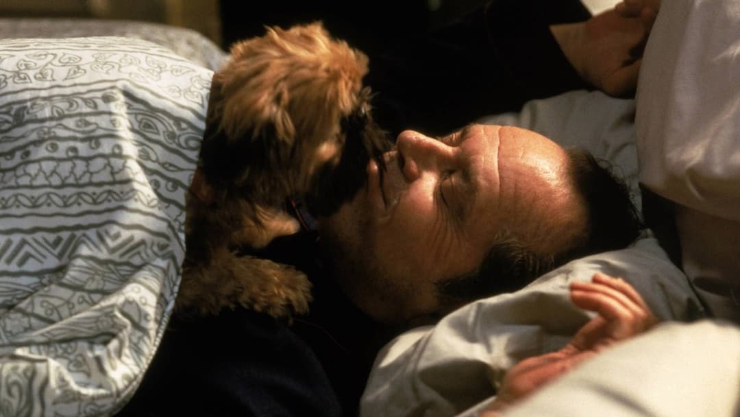 Besser geht's nicht backdrop 17