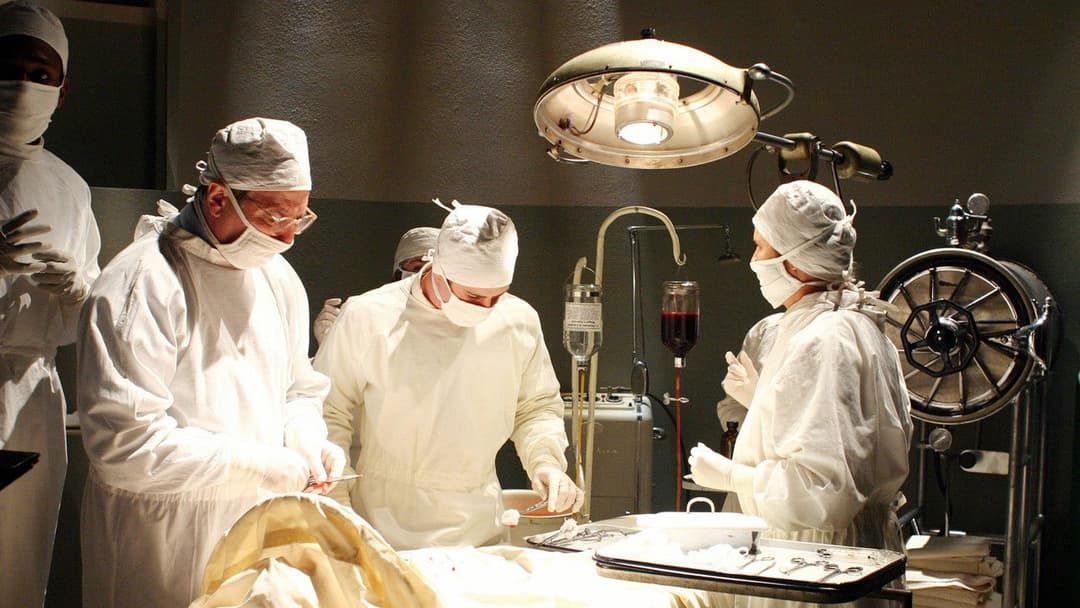 Something the Lord Made backdrop 7