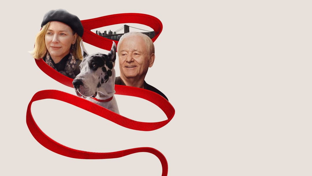 The Friend backdrop 14