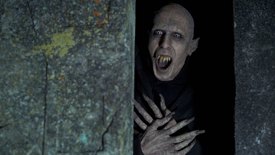 5 Zimmer Küche Sarg backdrop 11