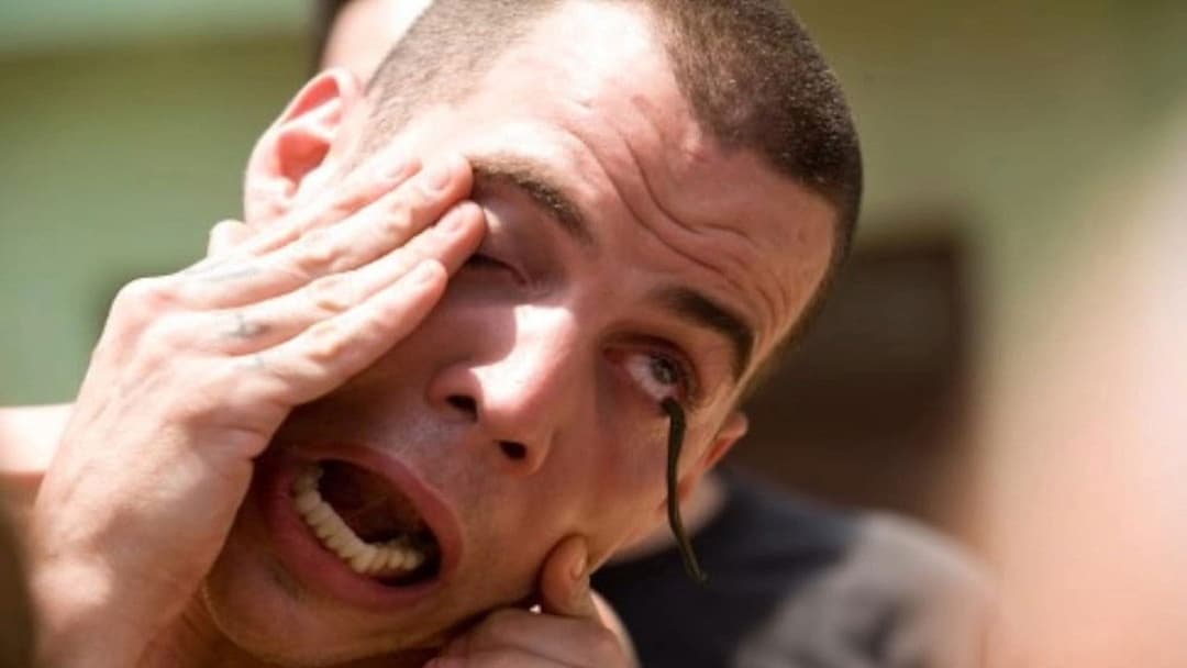 Jackass Number Two backdrop 13