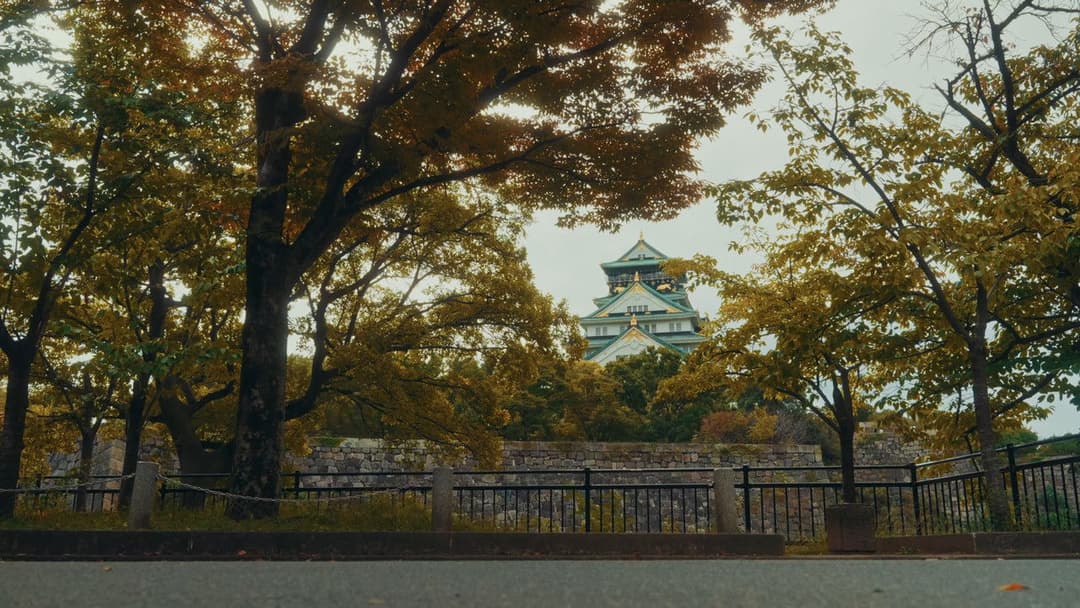 Streets of Japan backdrop 14