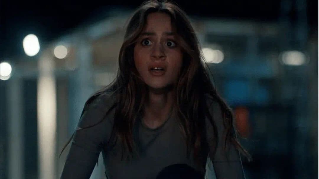 Thanksgiving backdrop 16