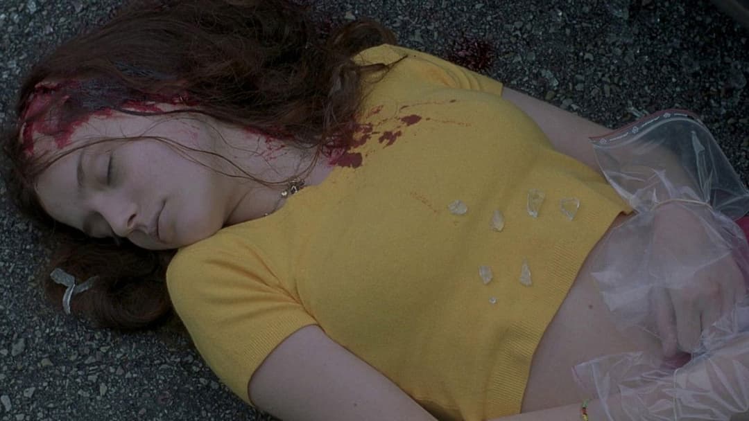 Fat Girl backdrop 11