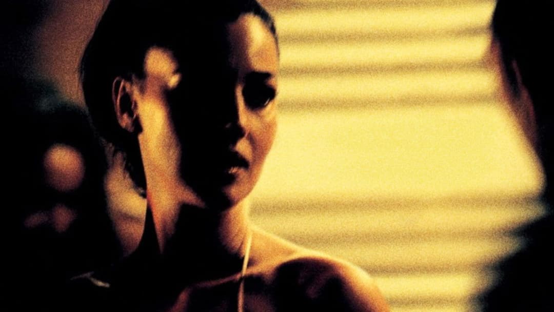 Irreversibel backdrop 10