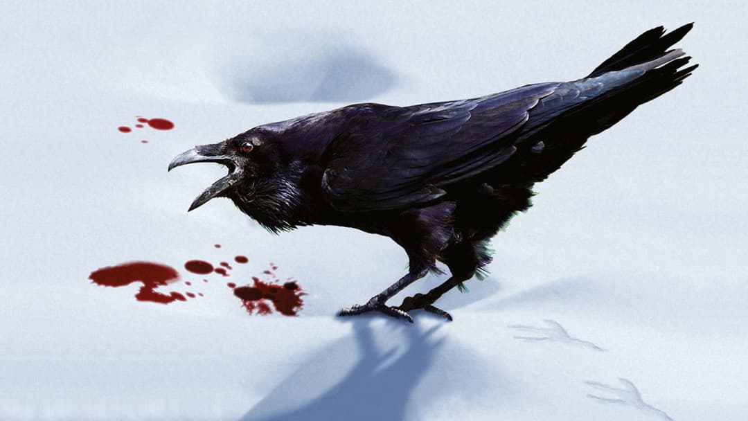 A Simple Plan backdrop 6