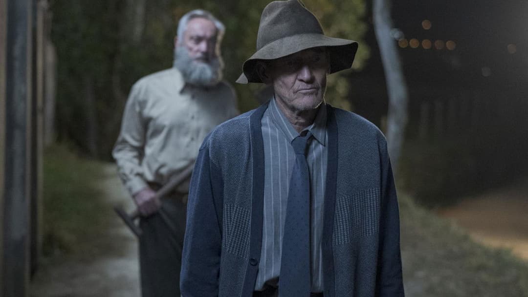 My Neighbor Adolf backdrop 6