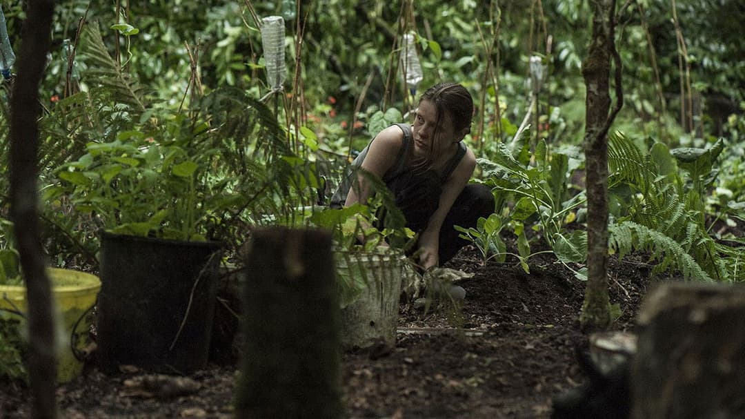 Виживальник backdrop 14