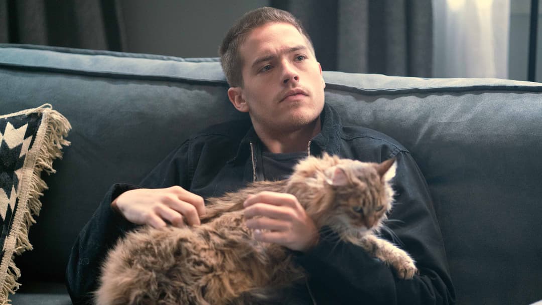 Моє прекрасне нещастя backdrop 17