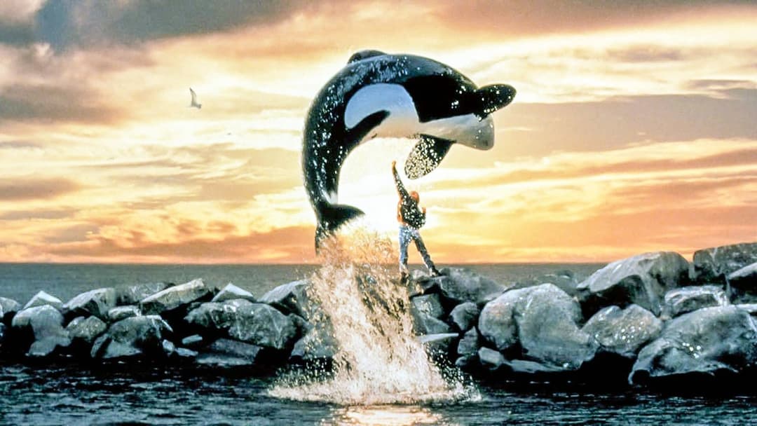 Free Willy backdrop 2