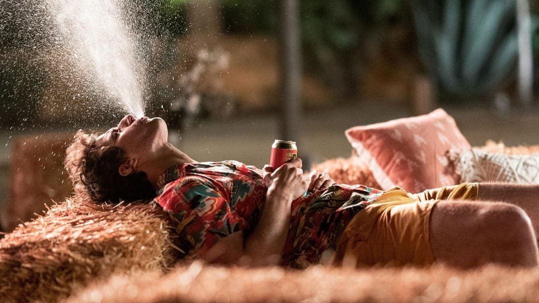 Palm Springs backdrop 11