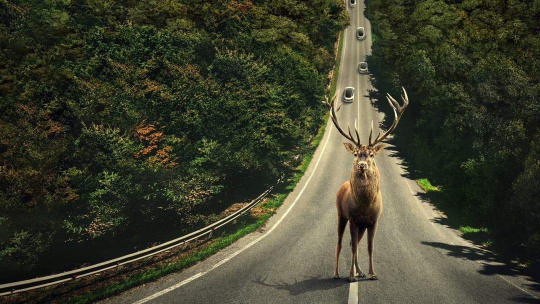 Leave the World Behind backdrop 10