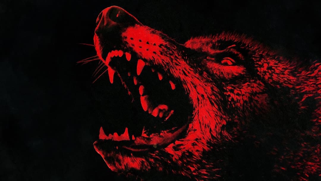 День койота