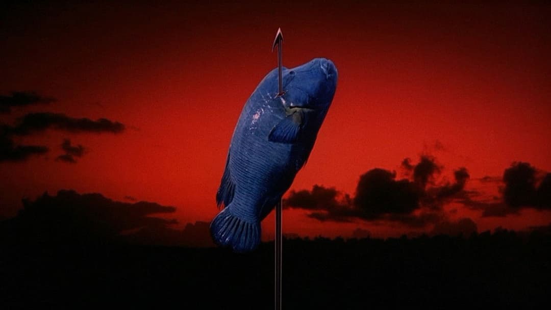 Сонатіна backdrop 3