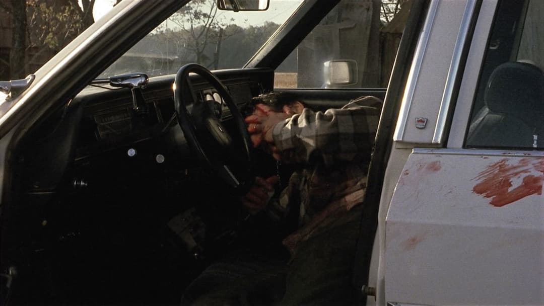 Один хибний хід backdrop 12