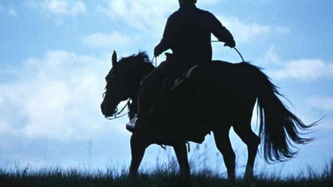 Заклинач backdrop 4