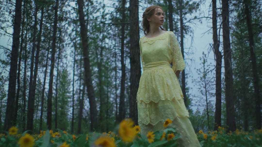 Train Dreams backdrop 13