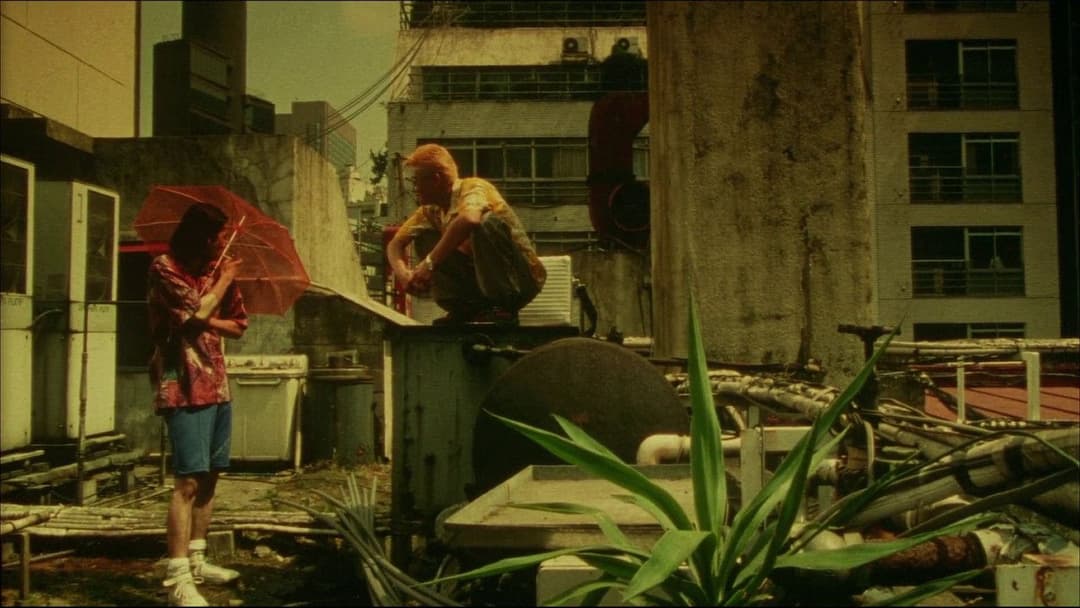 Dead or Alive 2: Birds backdrop 6