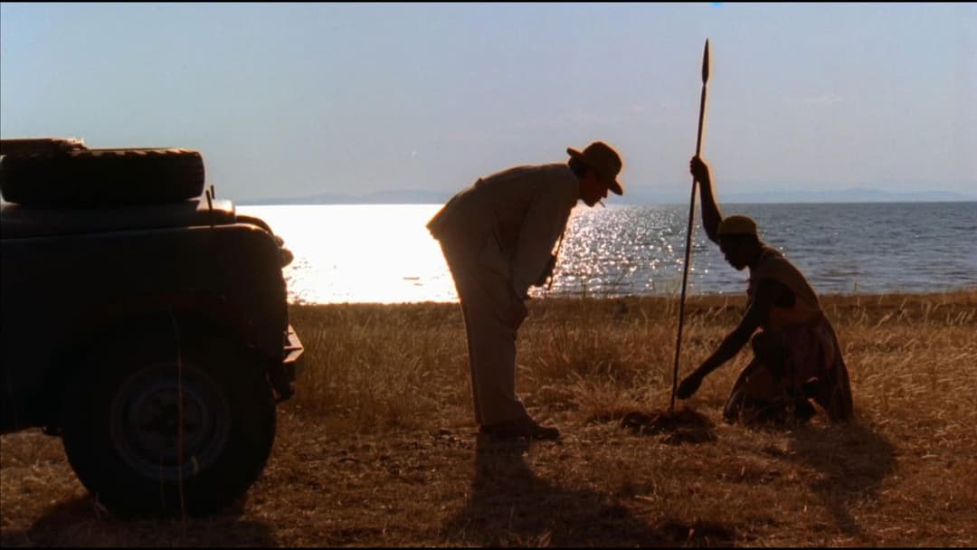 Білий мисливець, чорне серце backdrop 3