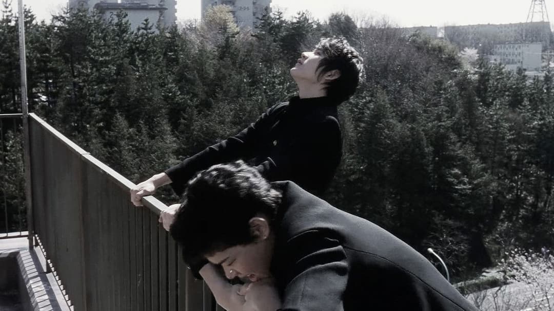 Блакитна весна backdrop 6