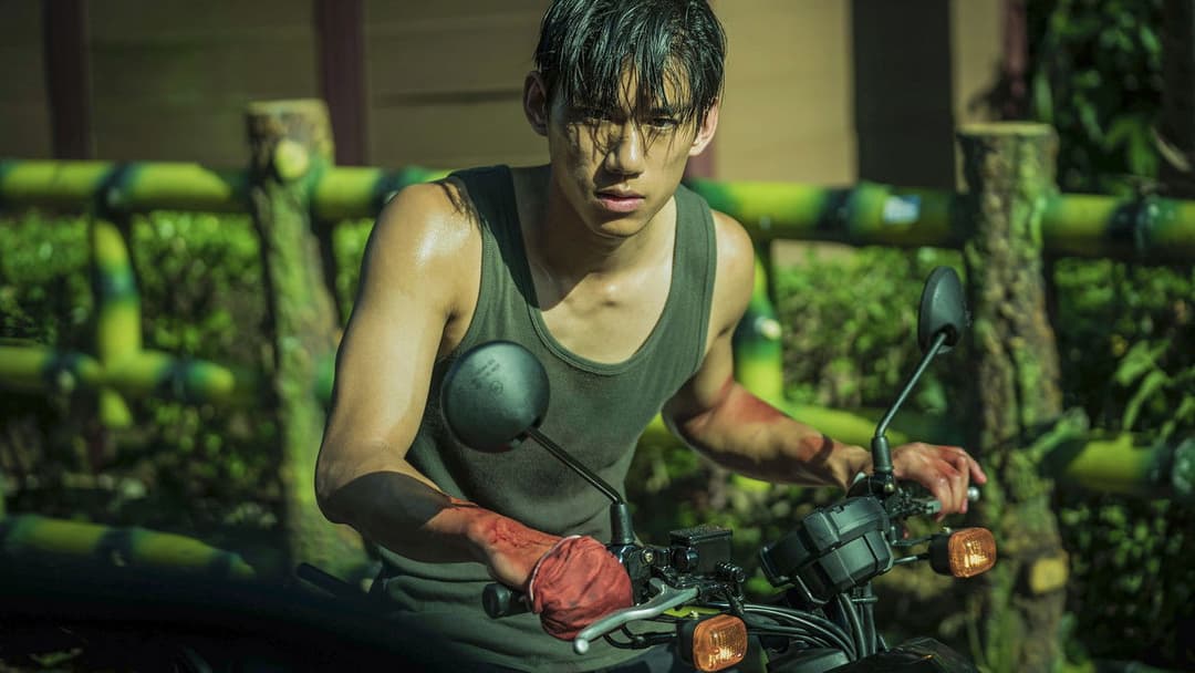 Cмуток backdrop 16