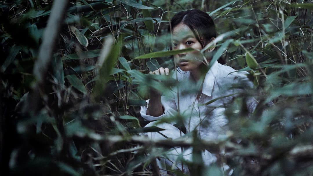 Виття backdrop 14