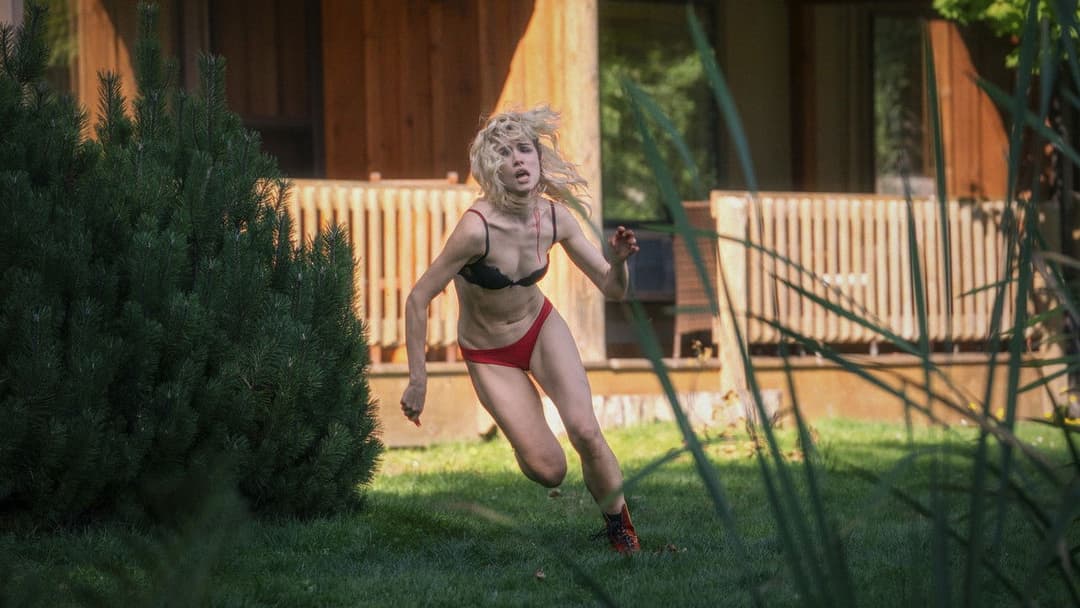 Переслідувач backdrop 13